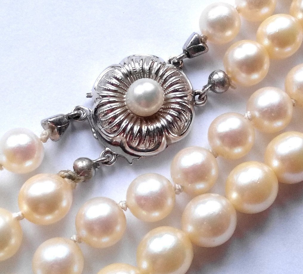 没有保留价 - 项链 14克拉白金 - Akoya-珍珠双色 - 2排 #1.0