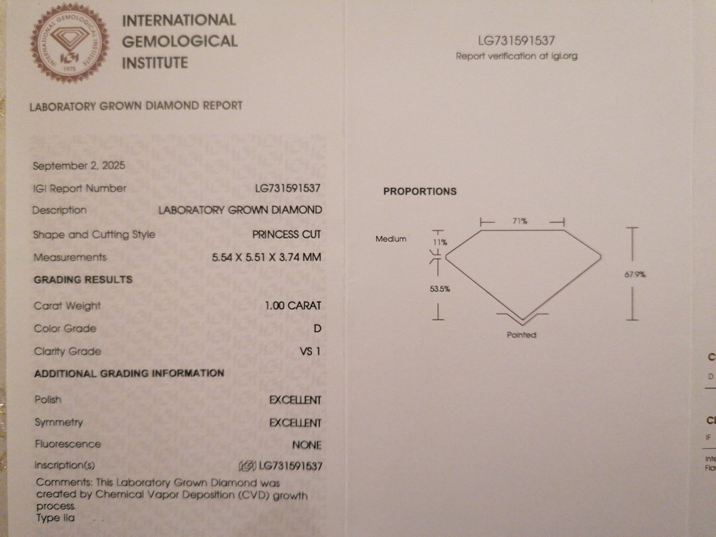 没有保留价 - 耳环 - 14K包金 白金 -  2.01ct. tw. 钻石 (实验室培育) - D VS1 #3.2