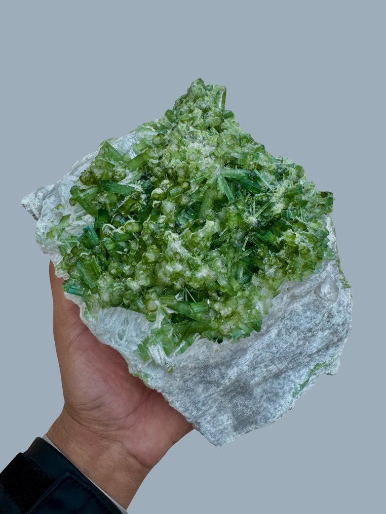 Εξαιρετικό πράσινο τουρμαλίνι με χαλαζία, πλήρως τερματισμένο σε μητρική. Δείγμα - Ύψος: 199 mm - Πλάτος: 124 mm- 3126 g - (1) #1.0