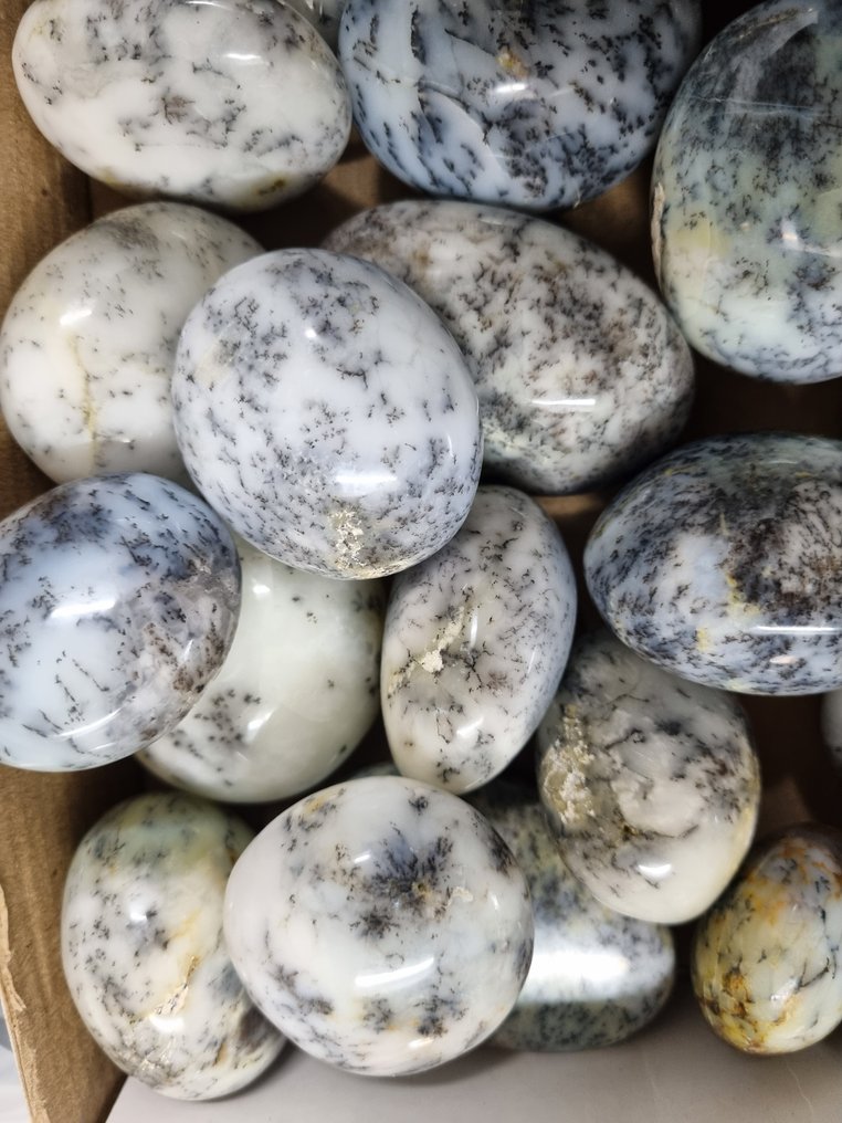 Μεγάλο σετ HQ palm stones, δακτύδιος δένδριτης όπαλος 6,5 - 4,2 εκ. Ελεύθερη μορφή- 2050 kg #1.0