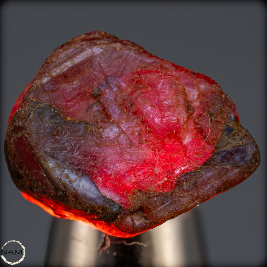 自然红宝石原矿晶体 罕见的、强烈光彩的宝石碎片 - 43.60 克拉- 8.72 g #2.1