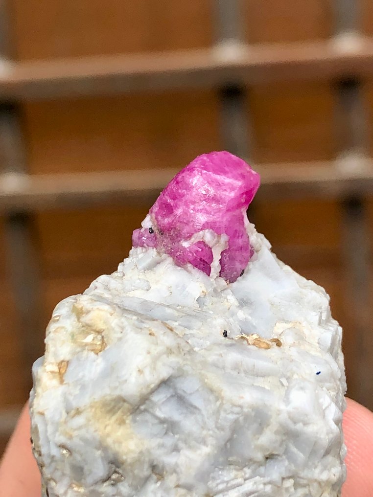 Robijn Exemplaar - Hoogte: 38 mm - Breedte: 32 mm- 37 g - (1) #4.3