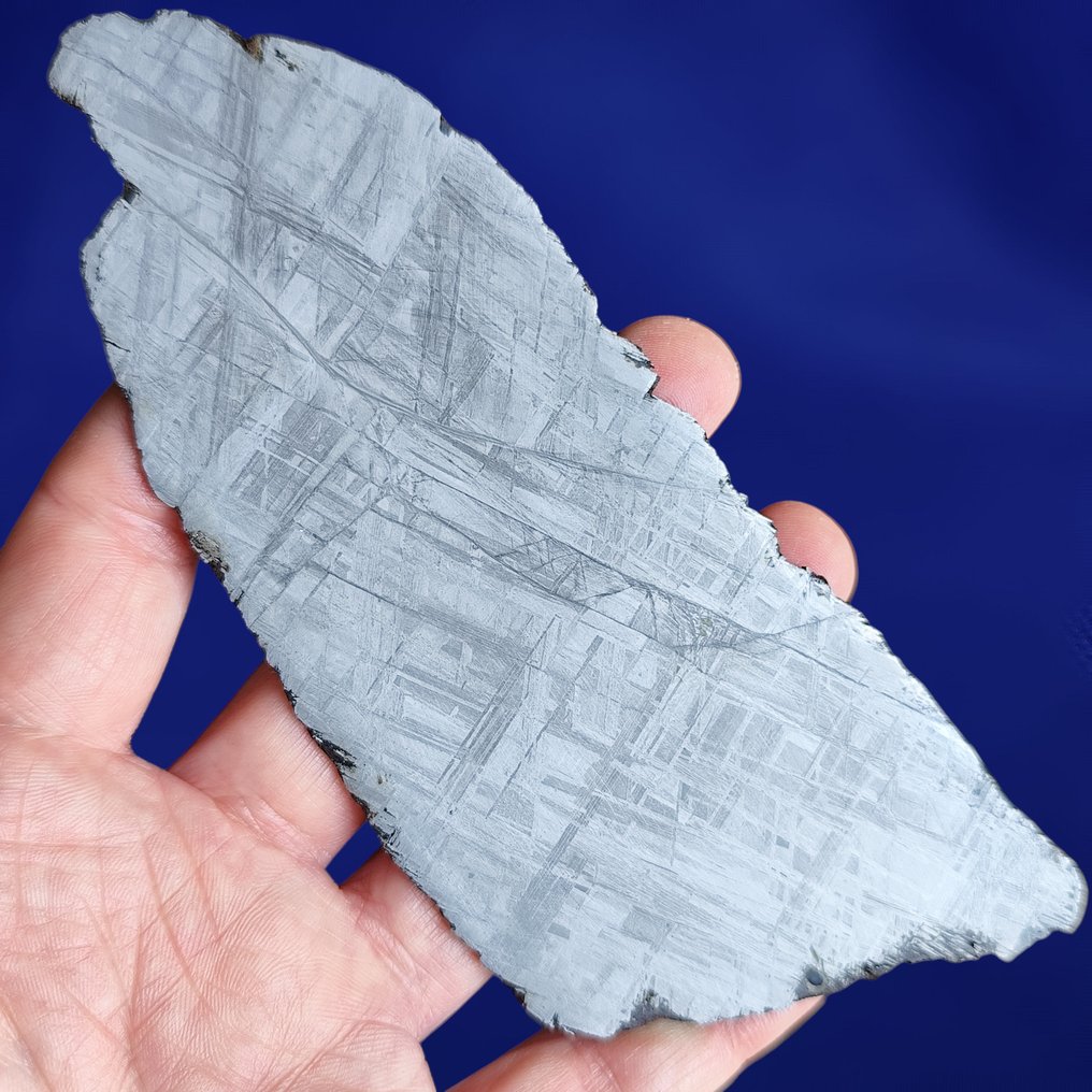 Εκπληκτική φέτα από μετεωρίτη Muonionalusta XL (Σουηδία, 1906) Widmanstätten Pattern. - 100.6 g #3.2