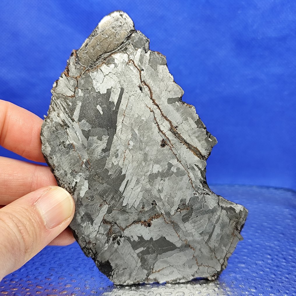 铁陨石南滩（中国，1516年） 切片。Widmanstätten 图案。 - 290 g #1.0