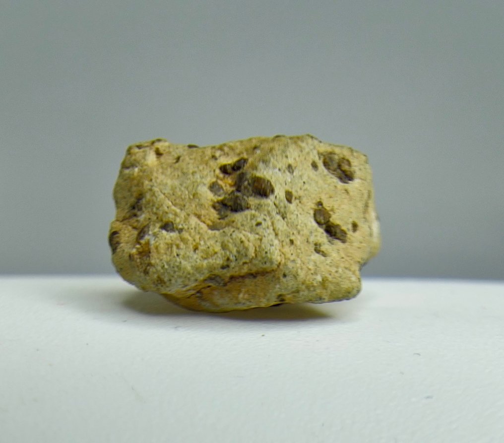 火星陨石，Tarkint 001。 橄榄质-相的舍尔戈蒂陨石 - 1.61 g - (1) #2.1