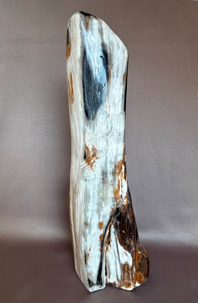 Forstenet træ kwarts - Højde: 33 cm - Bredde: 11.5 cm- 1628 g - (1) #3.2