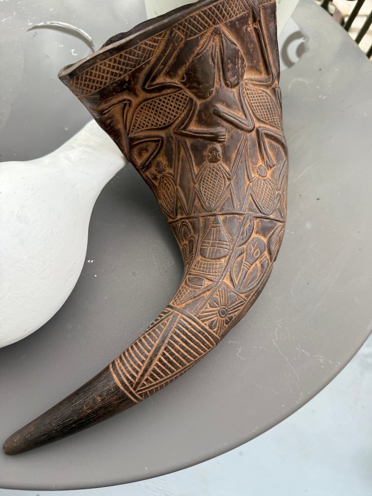 Búfalo Cuernos - inconnu - 34 cm - 15 cm - 5.5 cm -  (1) #1.0