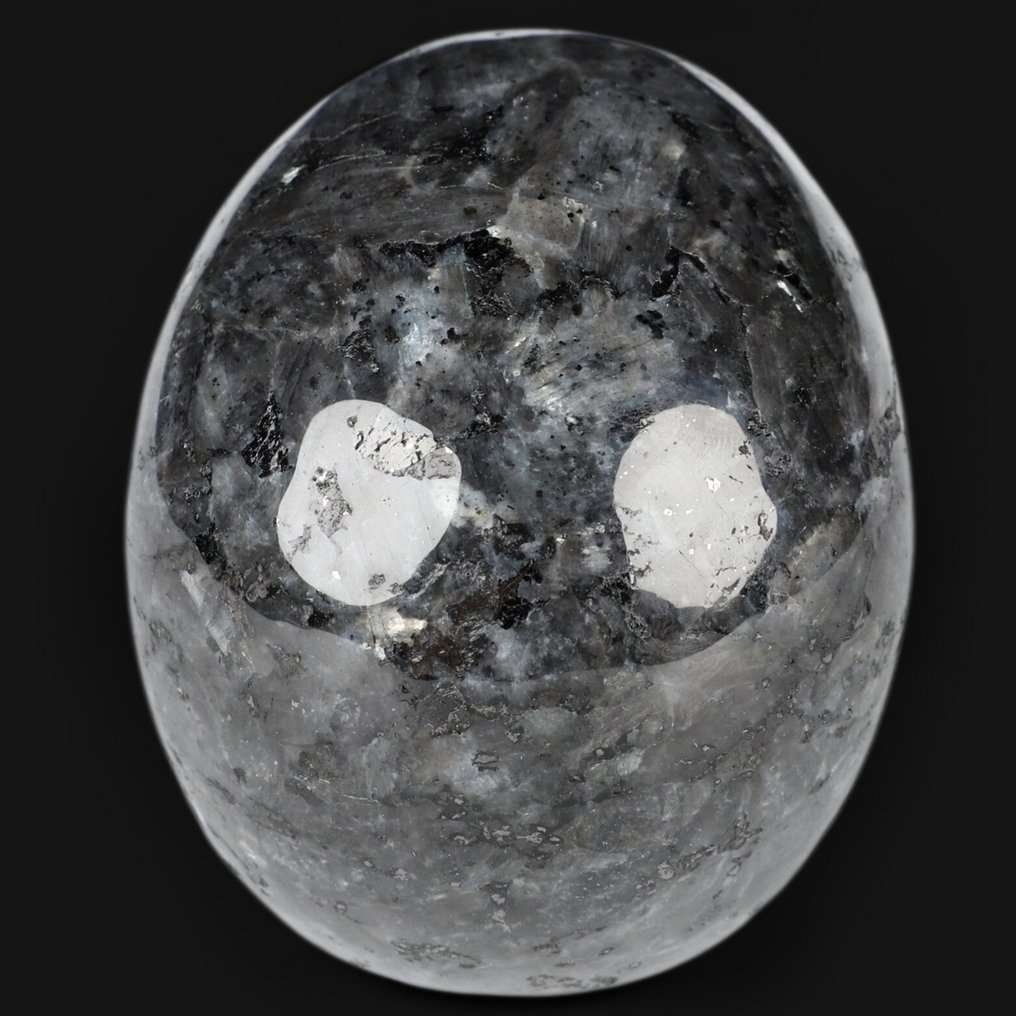 492克 Sternenhimmel Larvikite 骷髅，接地 - 稳定性 - 连接，尺寸：8.8 x 6.0 x 7.0厘米 頭骨 - 高度: 8.8 cm - 闊度: 6 cm- 492 g #2.1