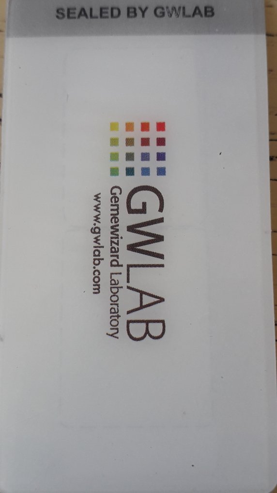 没有保留价 - 1 pcs 钻石  (天然)  - 1.33 ct - 圆形 - F - I1 内含一级 - Gemewizard宝石实验室（GWLab） #3.2