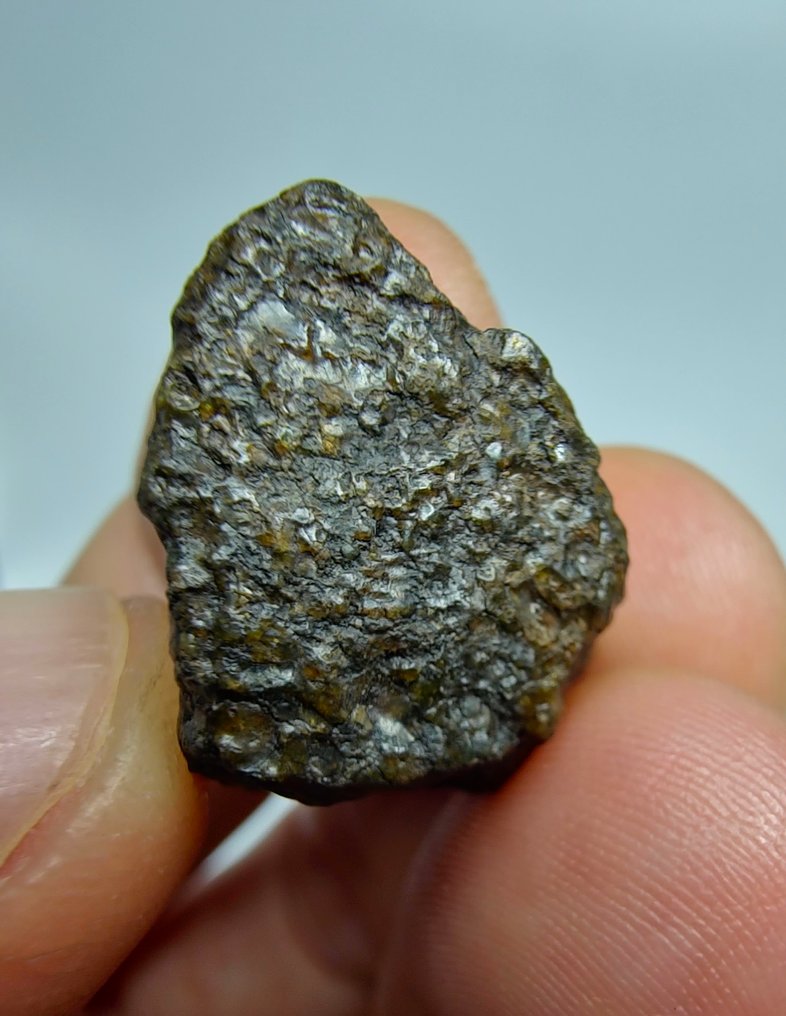 Μετεωρίτης ureilite, NWA 17031. Με την εμφάνιση σημαντικών ποσοτήτων γραφίτη. Μην κάνετε κράτηση τιμής. - 6.77 g - (1) #1.0