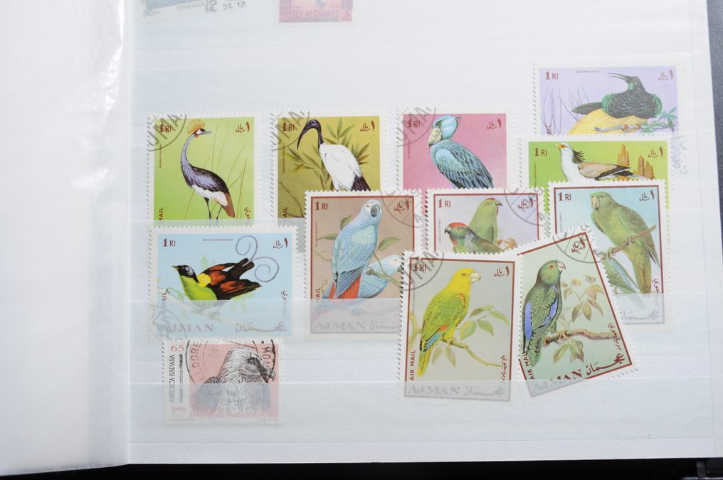 θεματικός - Συλλογές θεμάτων με «Πουλιά», «Πλοία», «Μεταφορές» και άλλα σε βιβλία αποθεμάτων (260 φωτογραφίες) #3.2