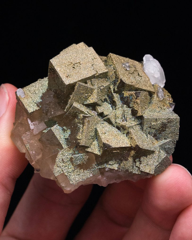 Επιπλέων φθόριο επικαλυμμένο με ασβέστη - Ύψος: 3.1 cm - Πλάτος: 5.2 cm- 84 g - (1) #3.2