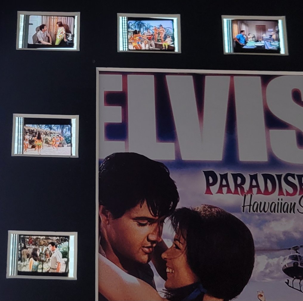 艾維斯·普里斯萊/貓王, Paradise Hawaiian Style - 带有COA的电影胶片装裱 #4.3