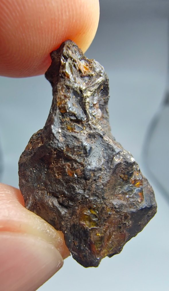 Μετεωρίτης Πάλλασιτης, NWA 16774. Χωρίς ελάχιστη τιμή. - 6.53 g #2.1