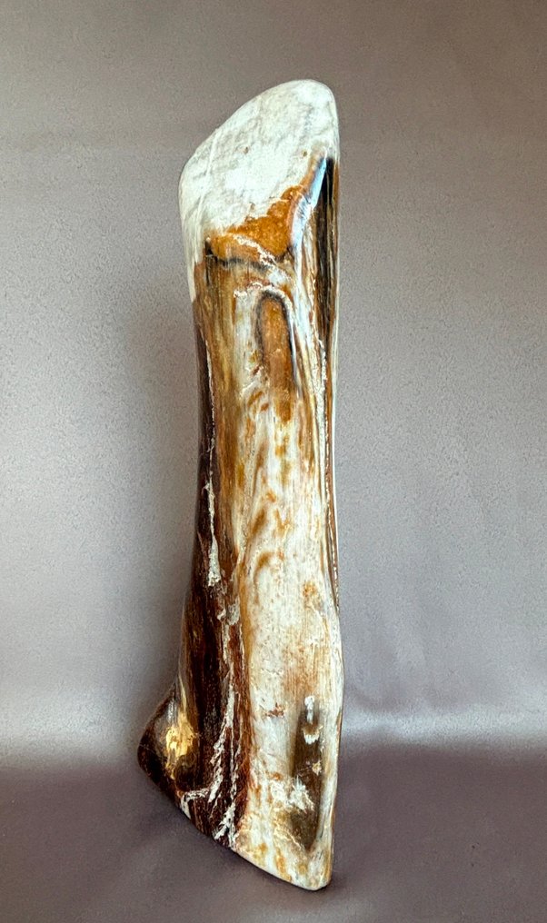 Forstenet træ kwarts - Højde: 33 cm - Bredde: 11.5 cm- 1628 g - (1) #1.0