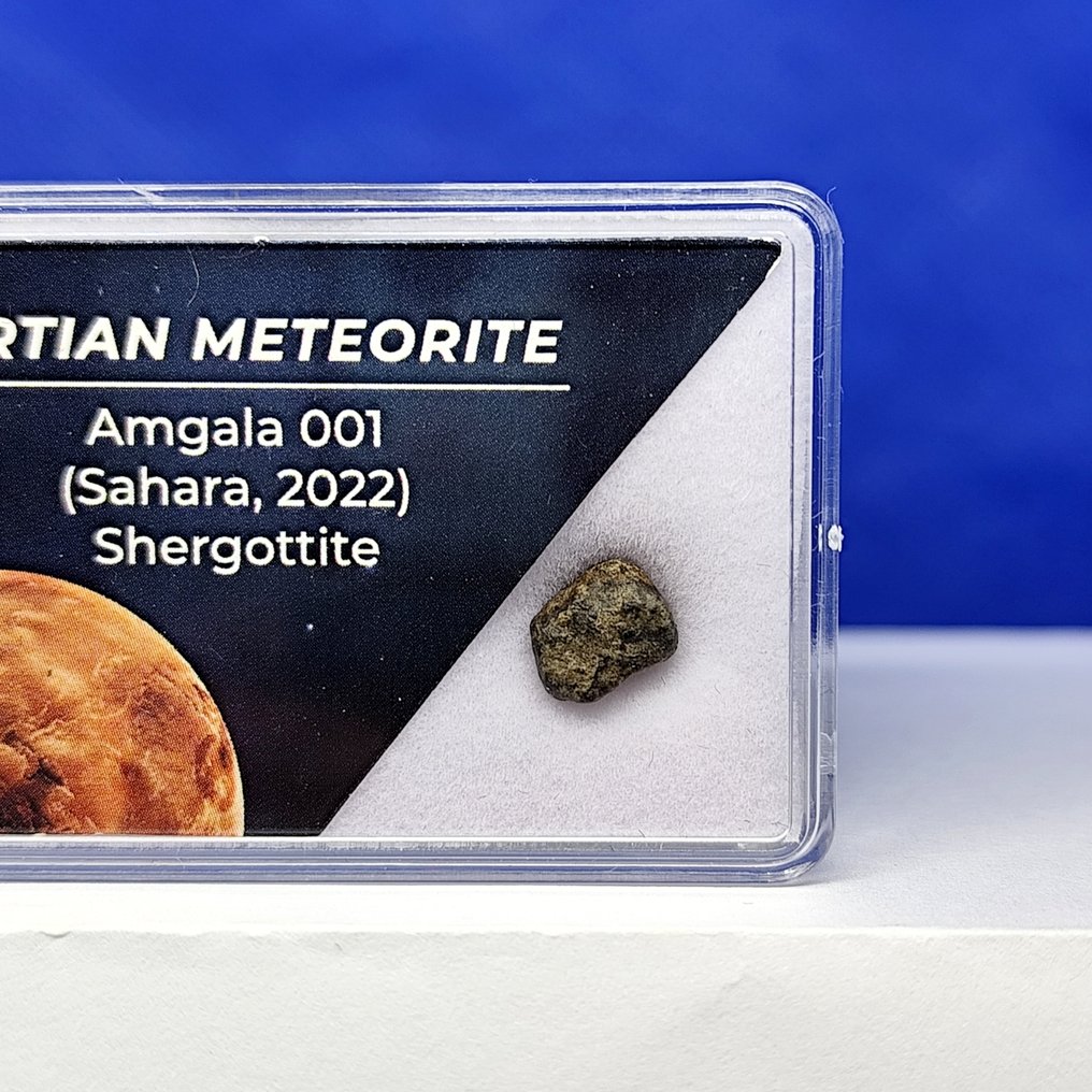 真正的火星陨石！Amgala 001（撒哈拉，2022年）。 一块火星在你手中。认证的。 - 0.3 g #1.0