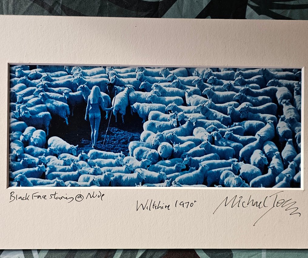 Michael Joseph (1941-) - Nude in Sheep, unique small panoramic blue-toned darkroom edition #2.1