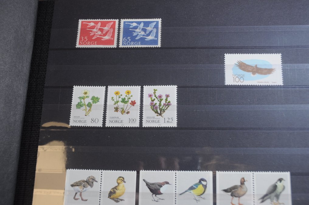 θεματικός  - Συλλογή θεμάτων "Πουλιά" με μεταξύ άλλων, postfris, σειρές, μπλοκ, χώρες και άλλα (193 φωτογραφίες). #2.1