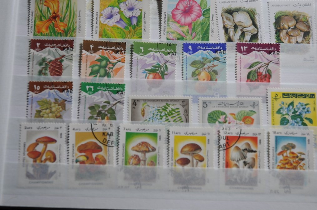 θεματικός  - Εξερευνητική συλλογή με διάφορα θέματα, μεταξύ άλλων Φύση, Διαστημική, Ποδόσφαιρο και περισσότερα #3.2