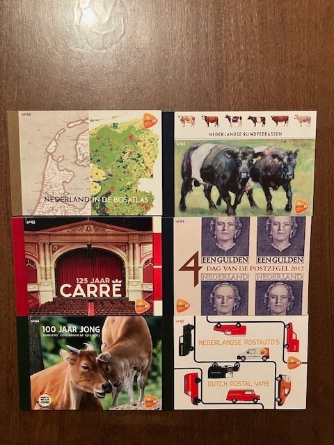 荷兰 2012/2013 - 非常漂亮的声望册子，荷兰，第40至49号，未贴邮票。 - prestigeboekjes 40 t/m 49 #1.0