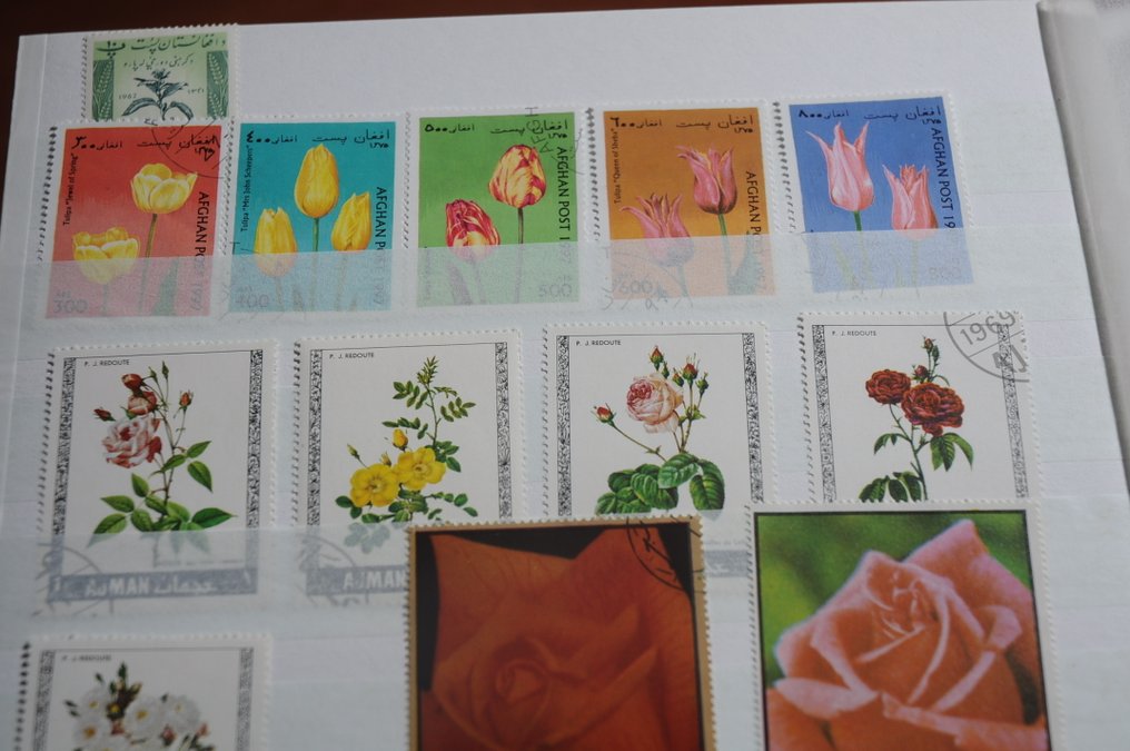 θεματικός  - Εξερευνητική συλλογή με διάφορα θέματα, μεταξύ άλλων Φύση, Διαστημική, Ποδόσφαιρο και περισσότερα #4.3