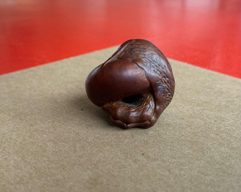 Puksipuu - Japani - Edo-kauden puoliväli #3.2