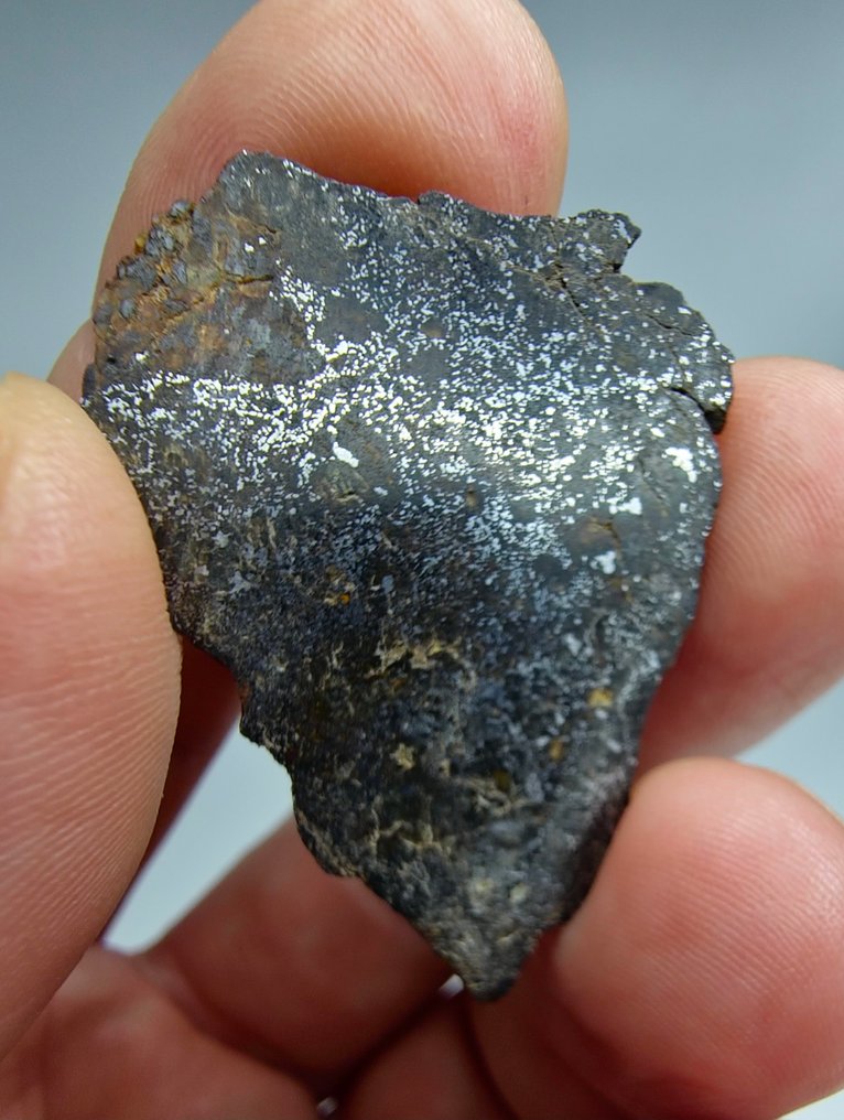 Μετεωρίτης mesosiderite. (NWA 18216) Χωρίς τιμή ελάχιστου αποθέματος. - 6.22 g - (1) #4.3