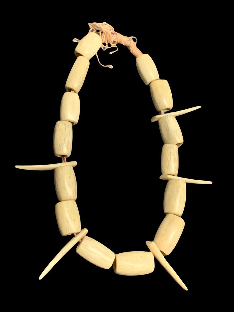 Collier royale - lega - congo  (Zonder minimumprijs) #1.0