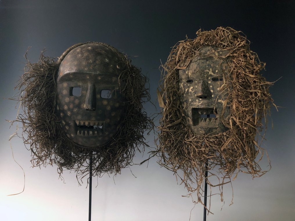 Mbuti - DR Congo #1.0