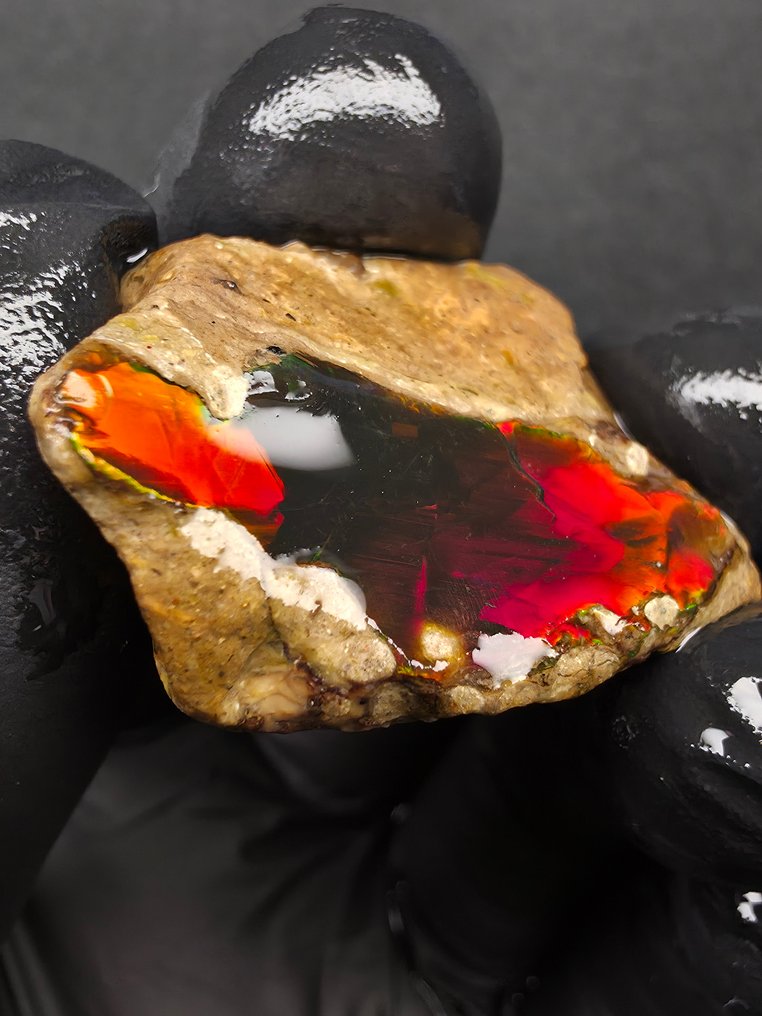 66.05ct Natural Crystal Opal Specimen Ruw- 13.21 g #3.2