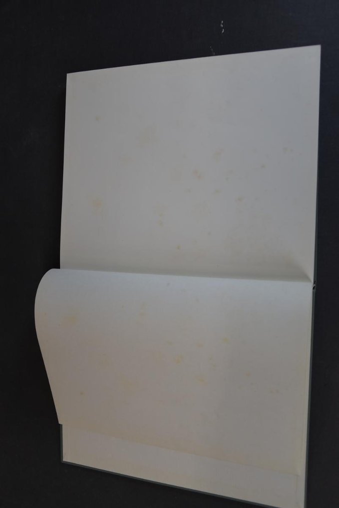 Carlo Levi - Janos Reismann - Ritratto dell'Italia - 1960 #3.2