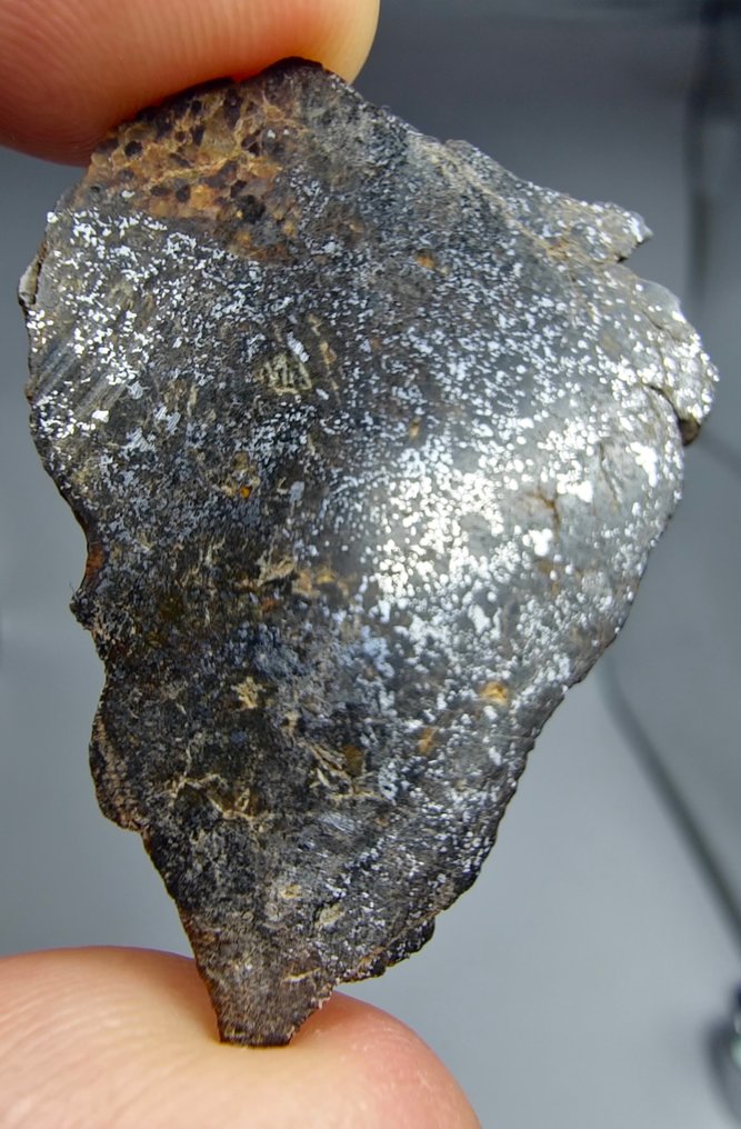 Μετεωρίτης mesosiderite. (NWA 18216) Χωρίς τιμή ελάχιστου αποθέματος. - 6.22 g - (1) #2.1