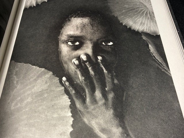 William Ropp - 20 years of photography (MINT CONDITION, SHRINK-WRAPPED) - 2009 #3.2