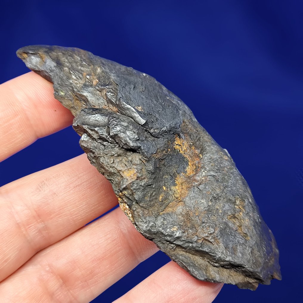 Ένα από τα πρώτα καταγεγραμμένα ιστορικά πτώματα. Μετεωρίτης από σίδερο NANTAN (Κίνα, 1516) - 129.7 g #4.3