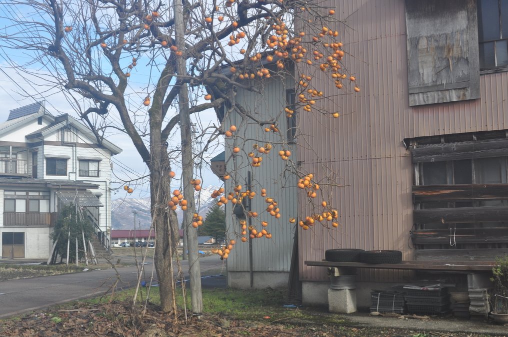 Nikon AF Nikkor 2.8/35-70mm D + HB-1 hood, both boxed | Objectif à focale variable #1.0