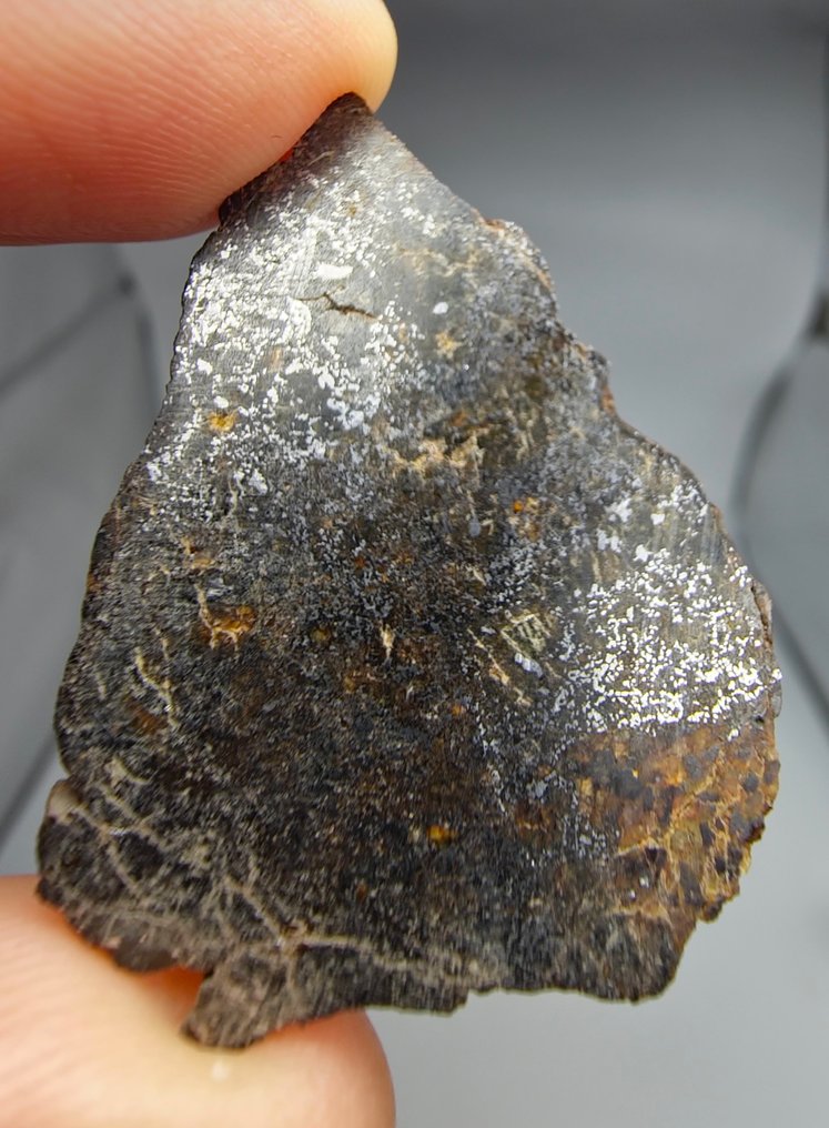 Μετεωρίτης mesosiderite. (NWA 18216) Χωρίς τιμή ελάχιστου αποθέματος. - 6.22 g - (1) #1.0