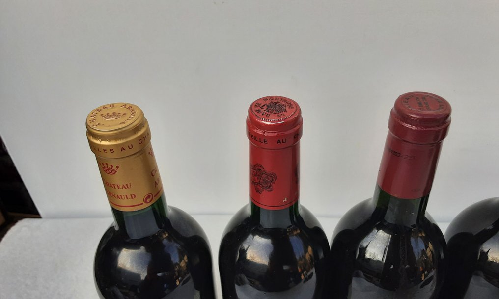 2001 Chateau Arnauld; 2001 La Dame de Montrose; 2001 Chateau Saint-Brice; 1998 Les Hauts de Brame; - Μπορντό 1995 Chateau Constant & 1995 Chateau Bessan Segur - 6 Bottles (0.75L) #4.3