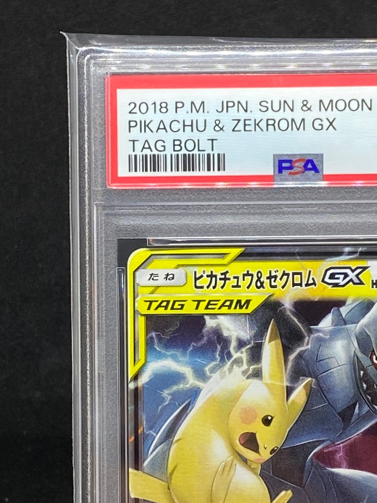 Pokémon - 1 Graded card - Pikachu, Zekrom #031/095 RR - PSA 9 - Sun & Moon #1.0
