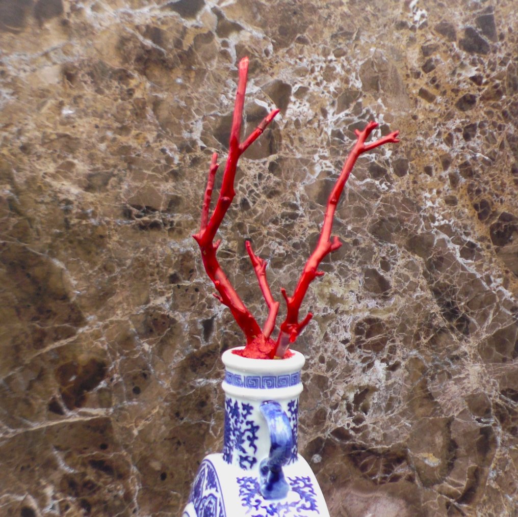仿血珊瑚安装在中国陶瓷花瓶上 珊瑚 - -  (没有保留价) #4.3