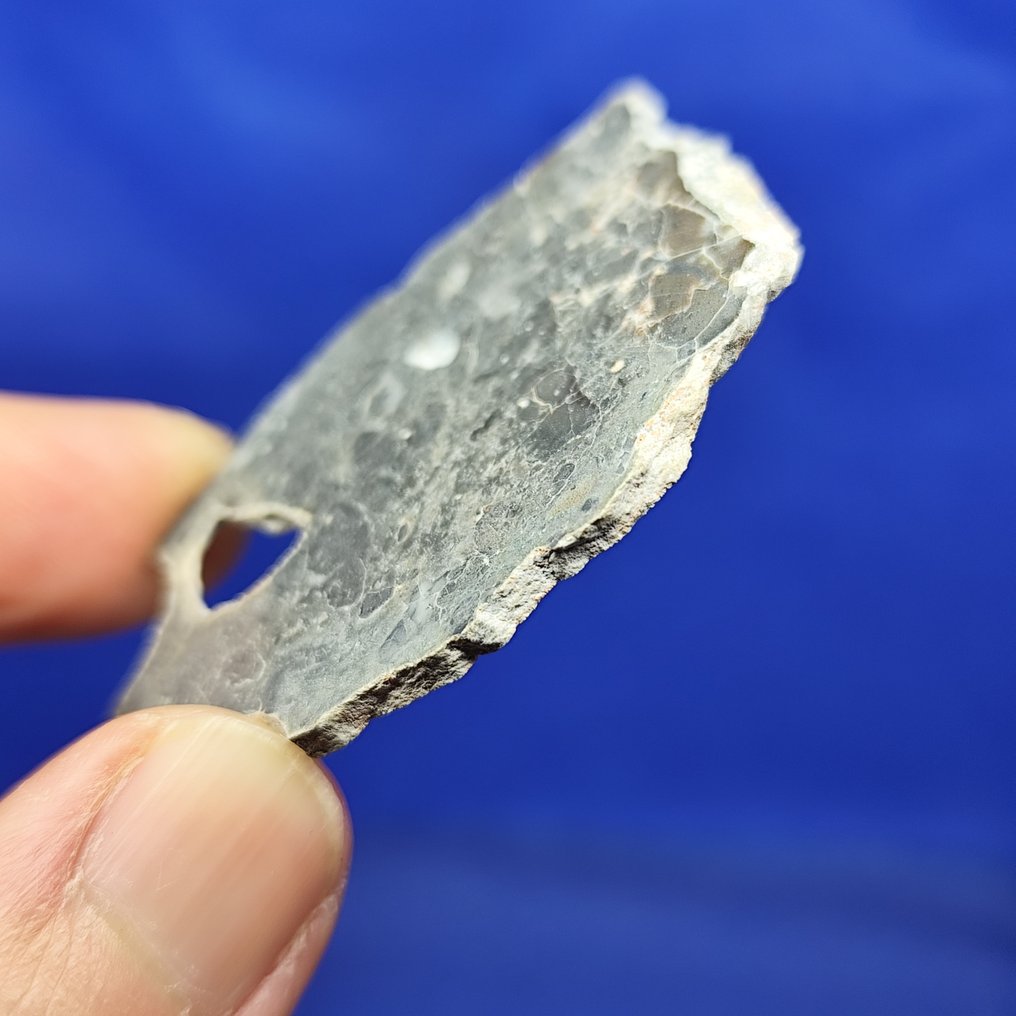 特大切片 玄武岩月球陨石（熔融角砾岩）。 阿德尔 013（阿尔及利亚，2023年） -p. 配对-. - 8.6 g #3.2