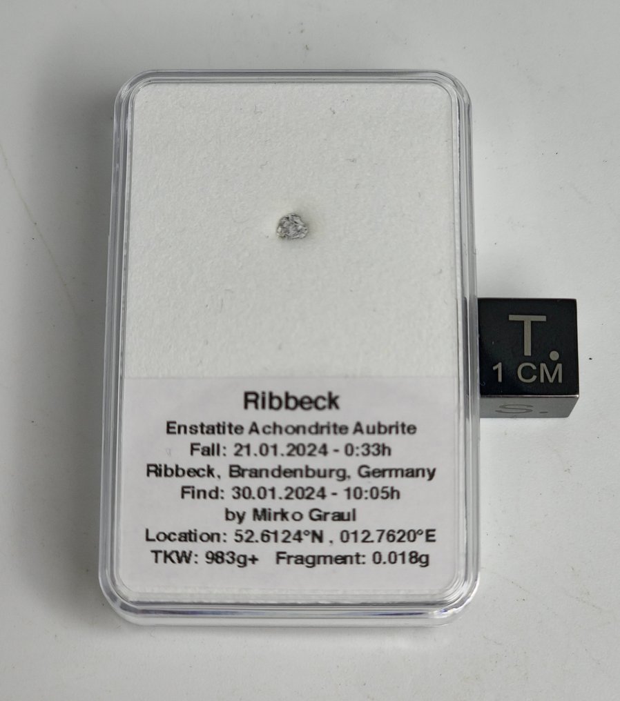 Μετεωρίτης Ribbeck, η νέα πτώση στη Γερμανία το 2024. (0,008γ). Aubrite, Χωρίς ελάχιστη τιμή. - 0.02 g #4.3