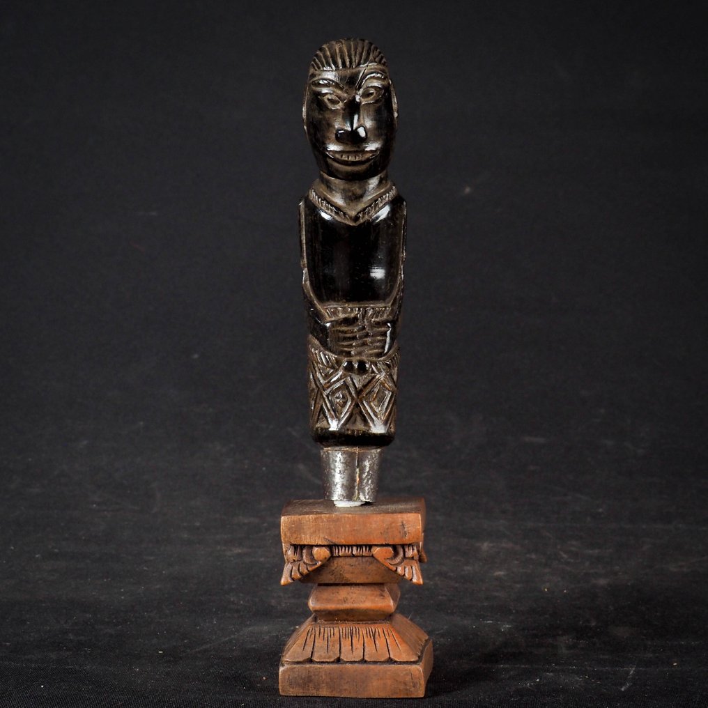 Kris dagger grip - horn - Sumba Indonesia - 19th century #1.0