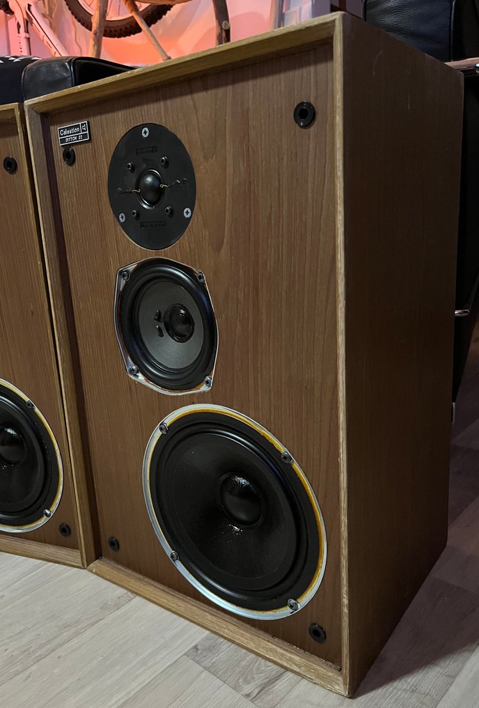 Celestion - DITTON 22 Σετ ενεργών ηχείων #1.0