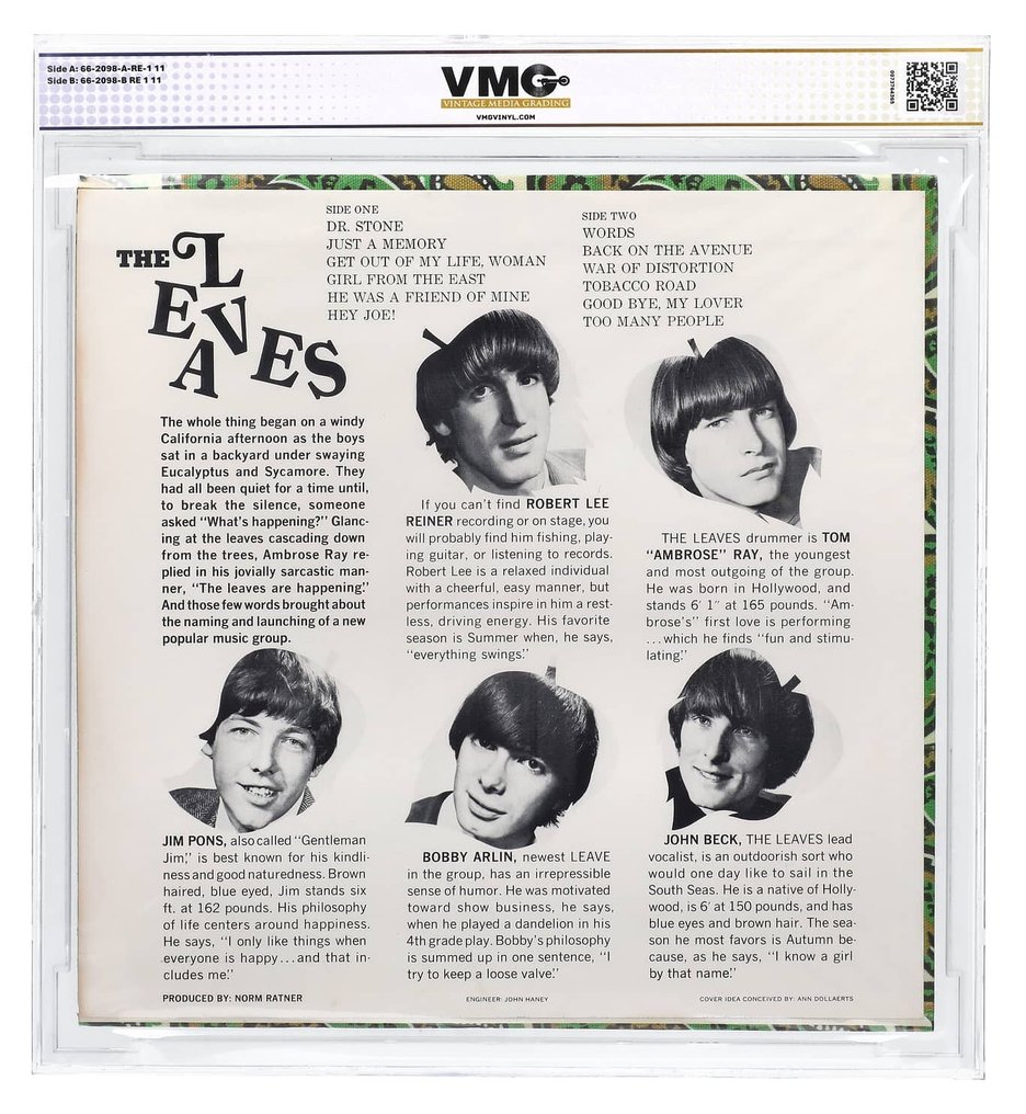 The Leaves - Hey Joe - Encapsulated copy - 黑膠唱片 - 第1單聲道按壓 - 1966 #1.0