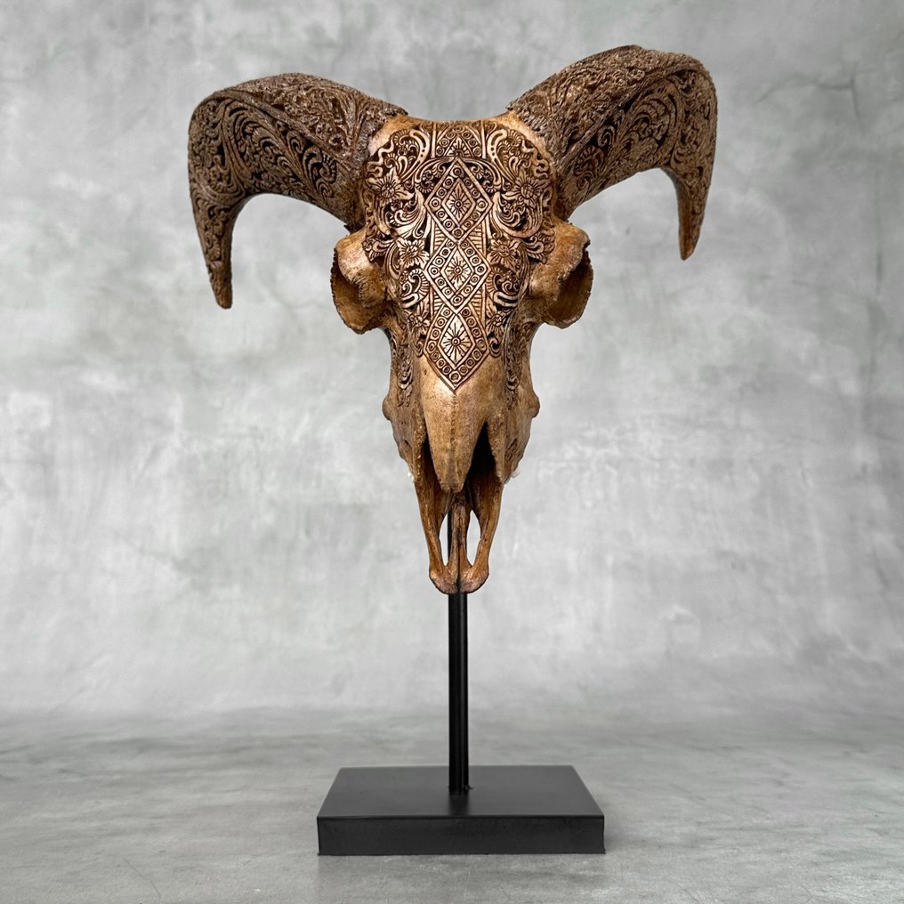 无底价 - 正品棕色手工雕刻公羊头骨，配有定制底座 - 椰包图案 雕刻的颅骨 - Ovis Aries - 44 cm - 33 cm - 23 cm- 非《濒危物种公约》物种 -  (1) #1.0