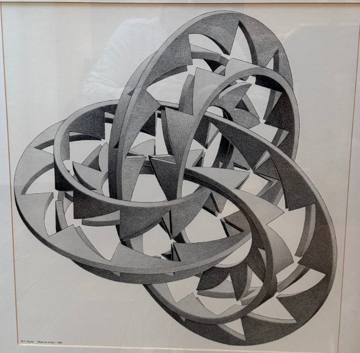 M.C. Escher (1898-1972) - Knots #1.0