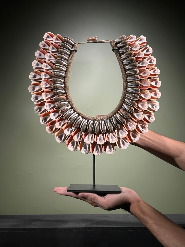 裝飾飾物 - NO RESERVE PRICE - SN14 - Decorative Shell Necklace on a custom stand - 巴布亞紐幾內亞 #1.0