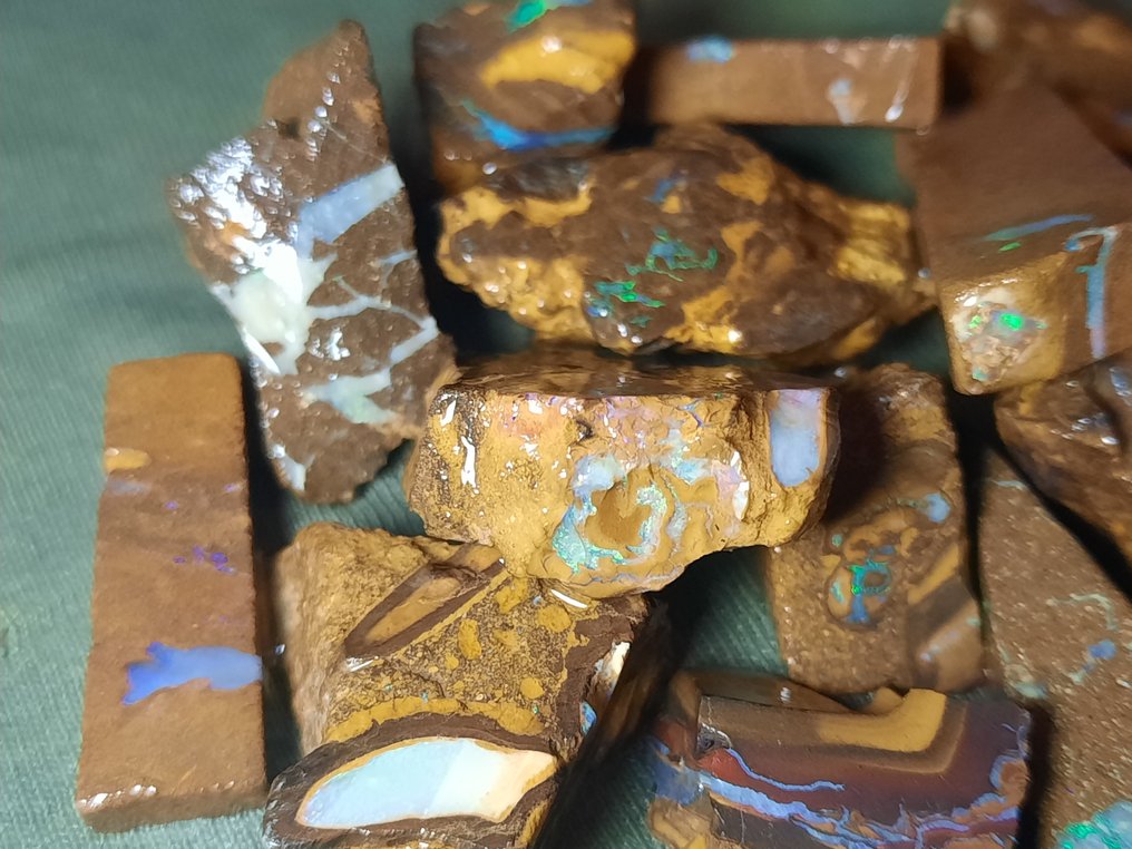 268,8 cts - Prachtige Australische Boulder Opal Rough - Multikleuren!- 53.76 g #3.2