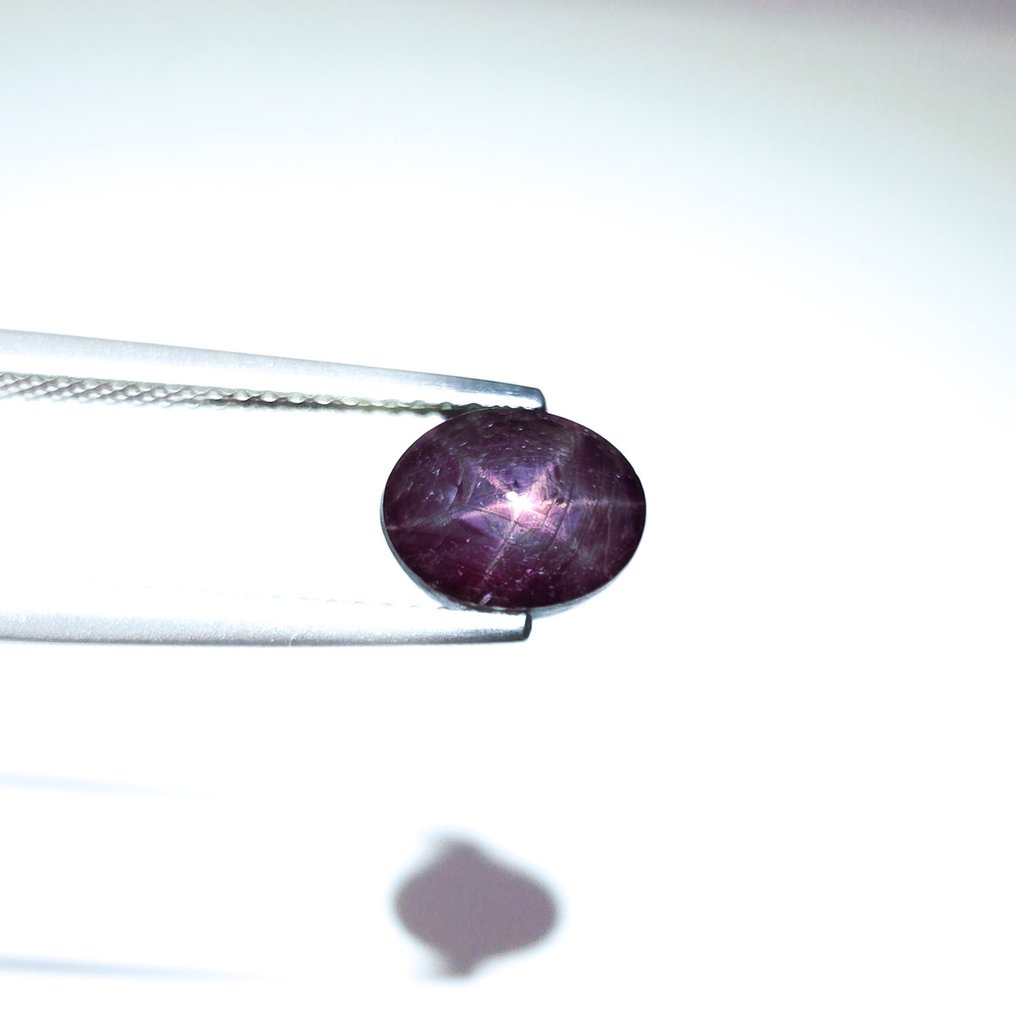 χωρίς τιμή ασφαλείας - 2 pcs  Ρουμπίνι αστέρι  - 8.13 ct - International Gemological Institute (IGI) #1.0