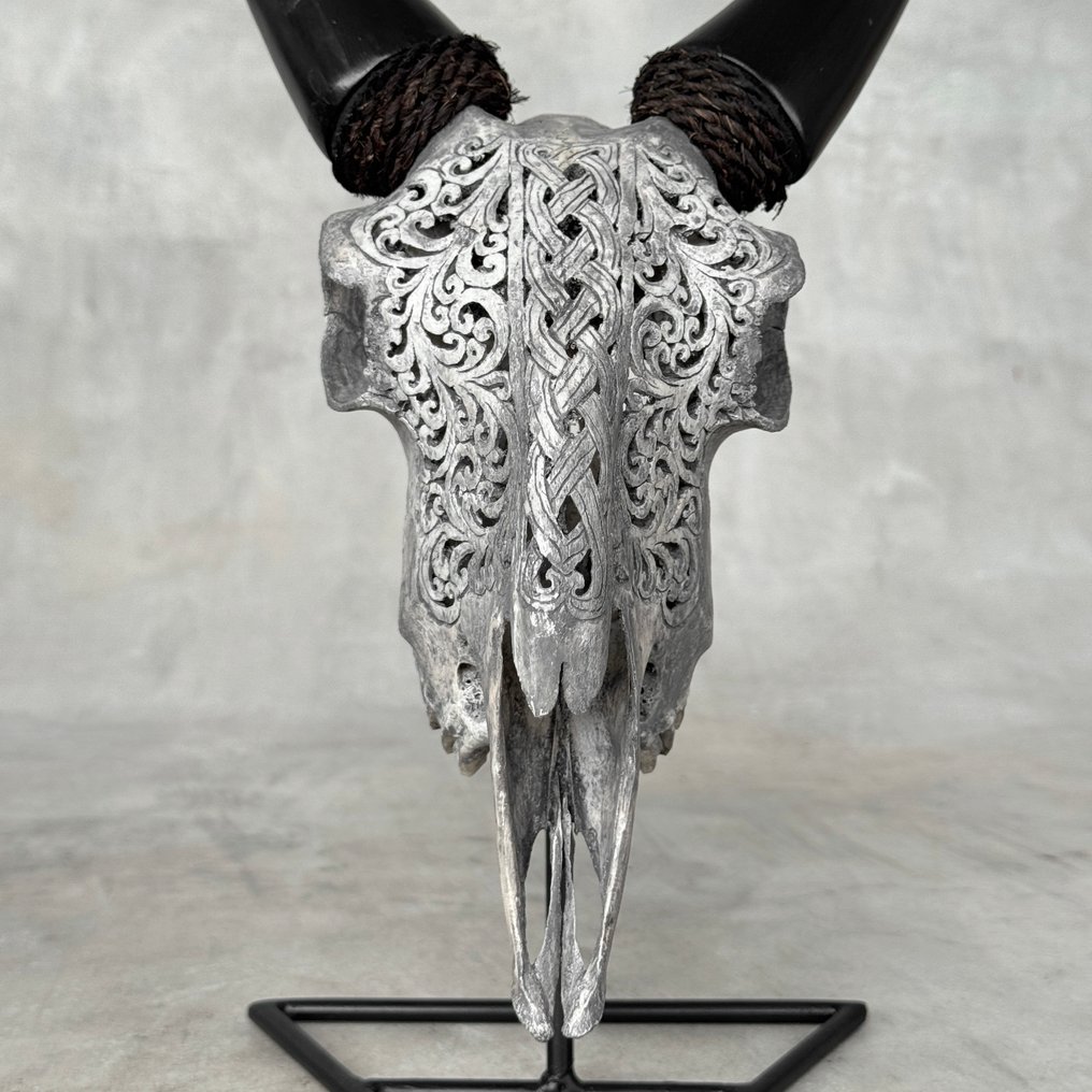 无底价 - 正品灰色手工 - 雕刻山羊骷髅 - 无限图案 雕刻的颅骨 - Capra aegagrus - 38 cm - 22 cm - 18 cm- 非《濒危物种公约》物种 - (1) #1.0